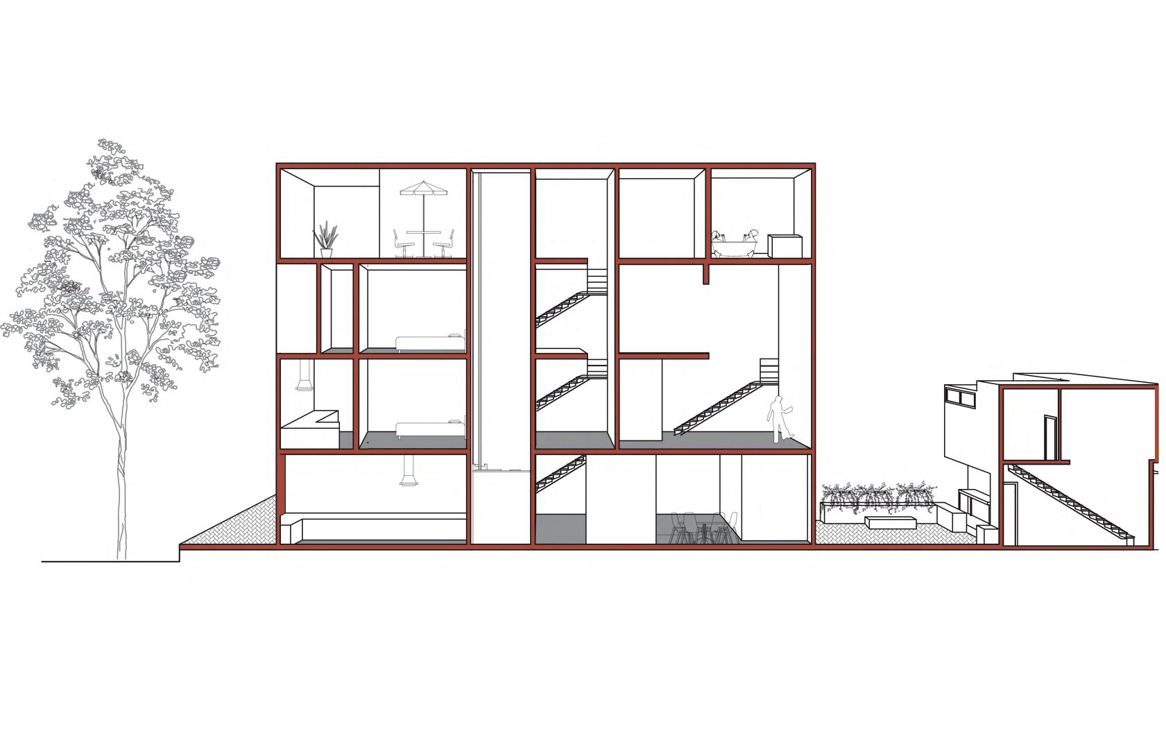 Longitudinal section